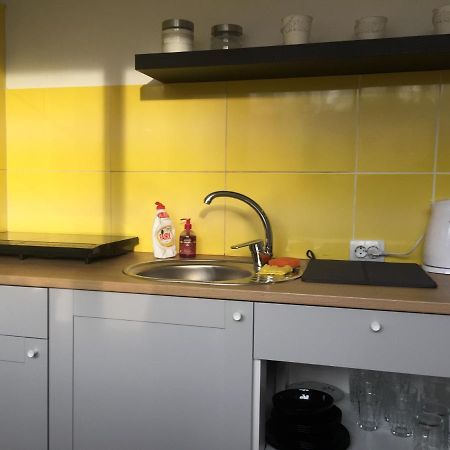 apartamenti Zirnis Cesis Bagian luar foto
